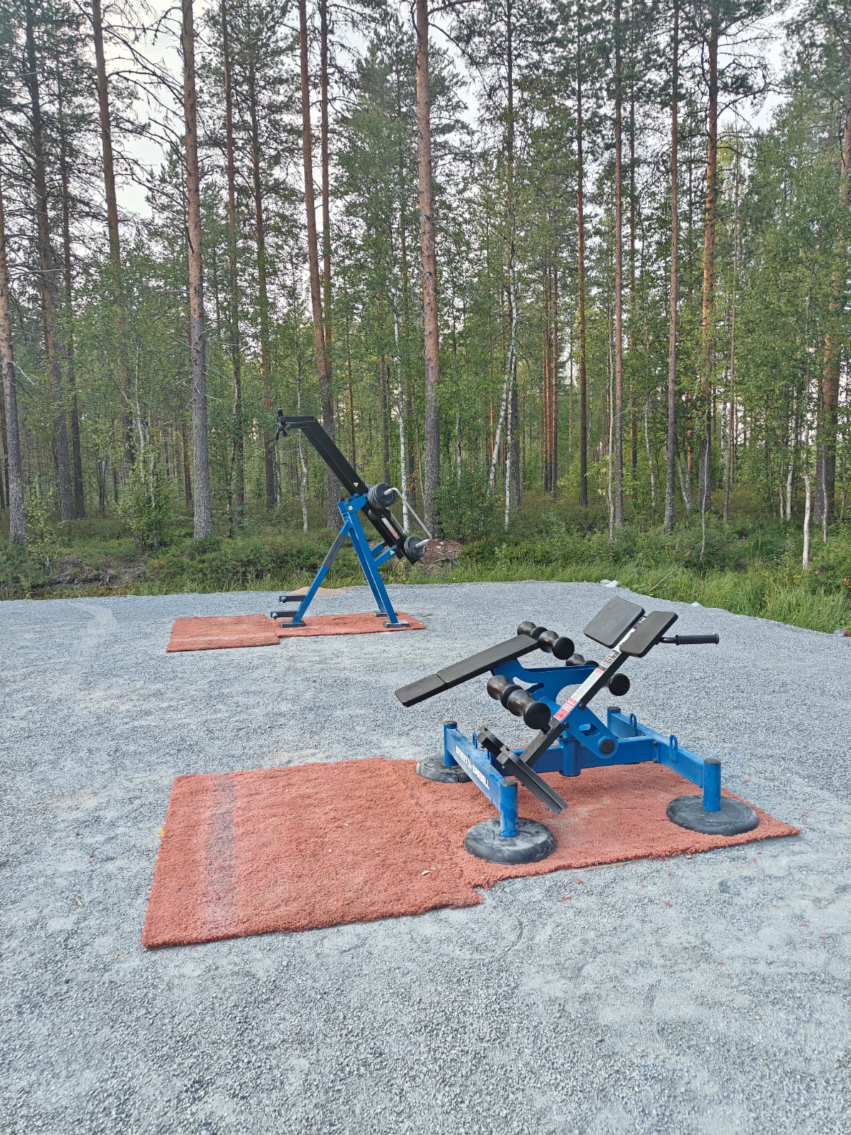 Yl&auml;talja seisten (takana) ja vatsa- ja selk&auml;penkkilaite (edess&auml;)